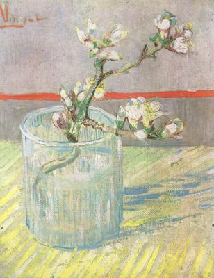 Vincent Van Gogh Blossoming Almond Branch in a Glass (nn04) France oil painting art
